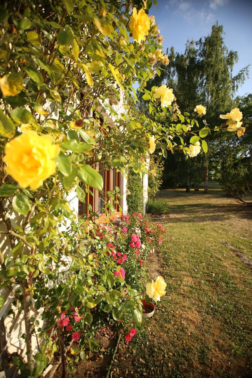 Bed and Breakfast Les Reves De Flamboin Gouaix Exterior foto